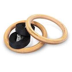 Fitness Gymnastic Ring