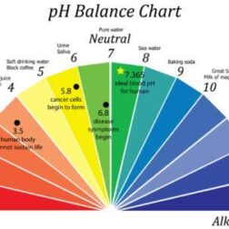 pH Meter ,Portable Digital pH Meter (Hand Held)
