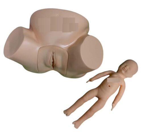 Anatomical Models Factory "Advanced Midwifery Training Vacuum Baby Delivery Model - Lifelike Obstetrics Simulator for Nursing Education - Comprehensive Anatomical Representation