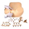 Human Advance Gynecological Simulator