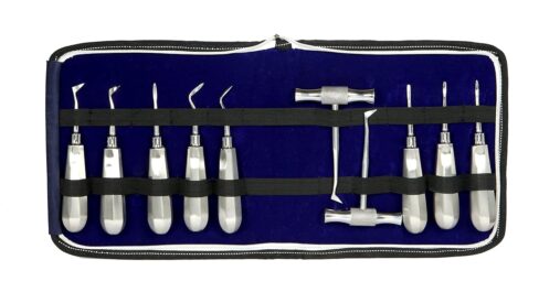 Deluxe Quality Dental Elevator 10 Pcs. Set Elevator Kit, Set of 10 pc