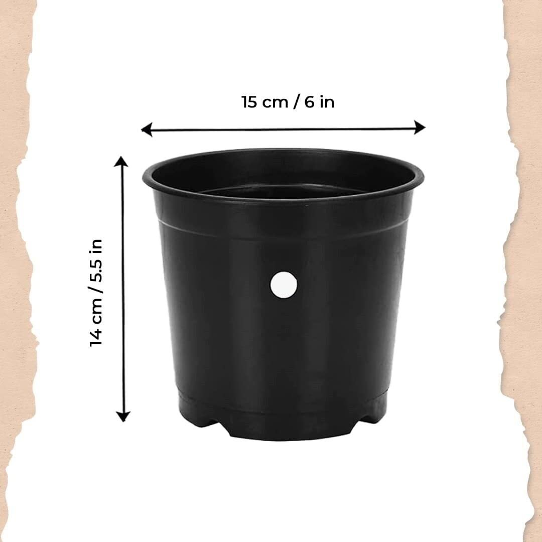 Garden 6 Plastic Plants Nursery Seedlings/Pots, Black, 15 x 15 x 14 cm, 20 Piece - Image 3