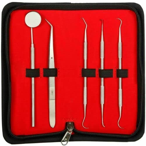 Dental PMT Set Dental Tweezer+3 Dental Probes +Dental Mouth Mirror Dental Tools - Image 2