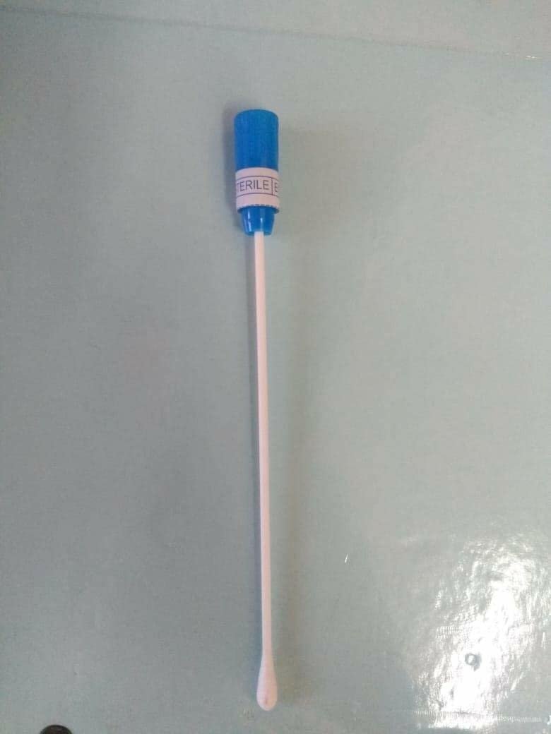 (Pack of 200), Wooden Sterilized Swab Sticks in Plastic Tubes - Image 5