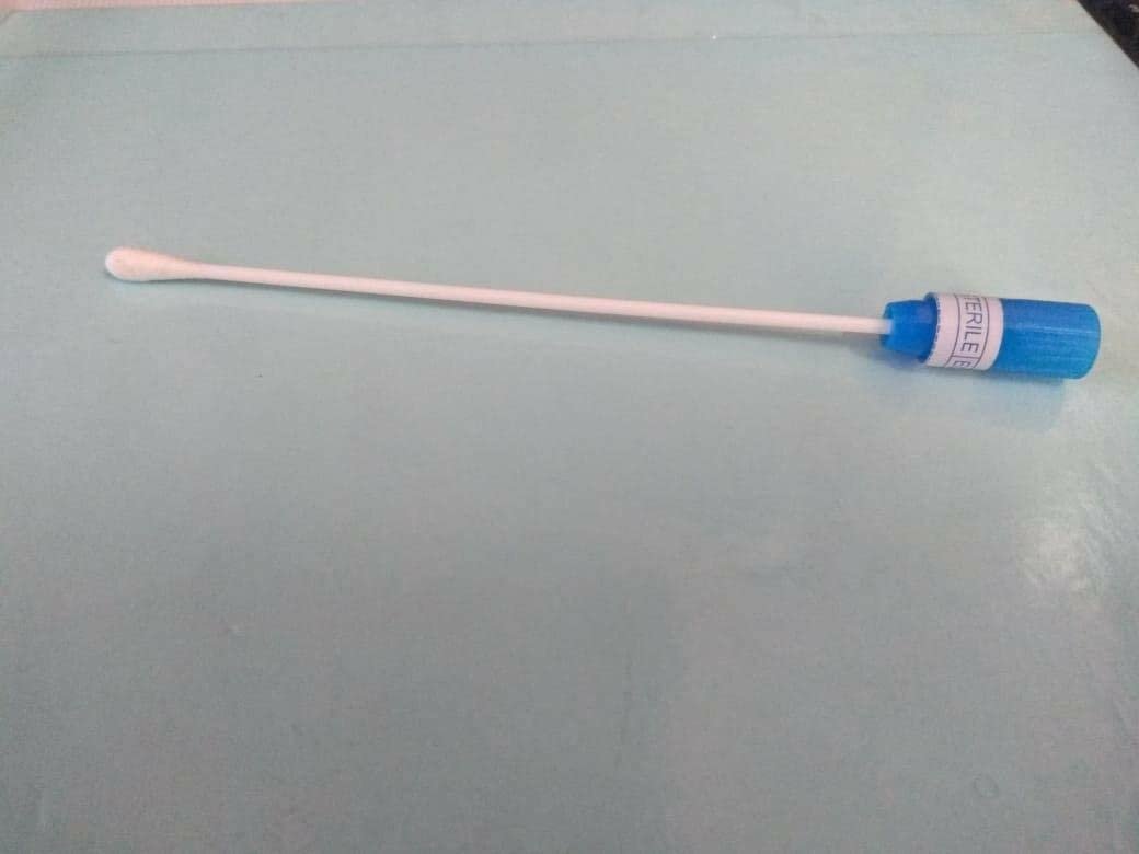(Pack of 200), Wooden Sterilized Swab Sticks in Plastic Tubes - Image 4