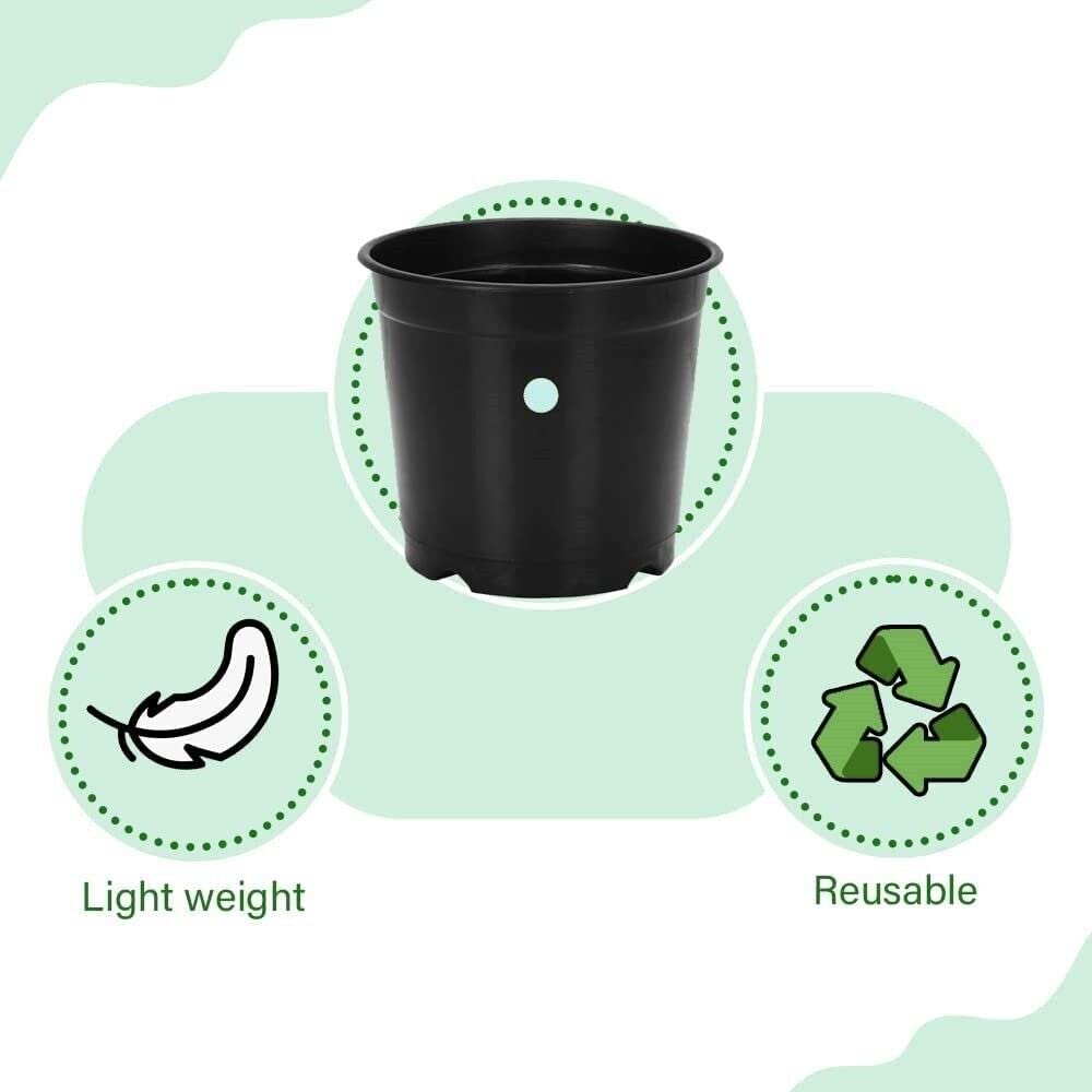 Garden 6 Plastic Plants Nursery Seedlings/Pots, Black, 15 x 15 x 14 cm, 20 Piece - Image 5
