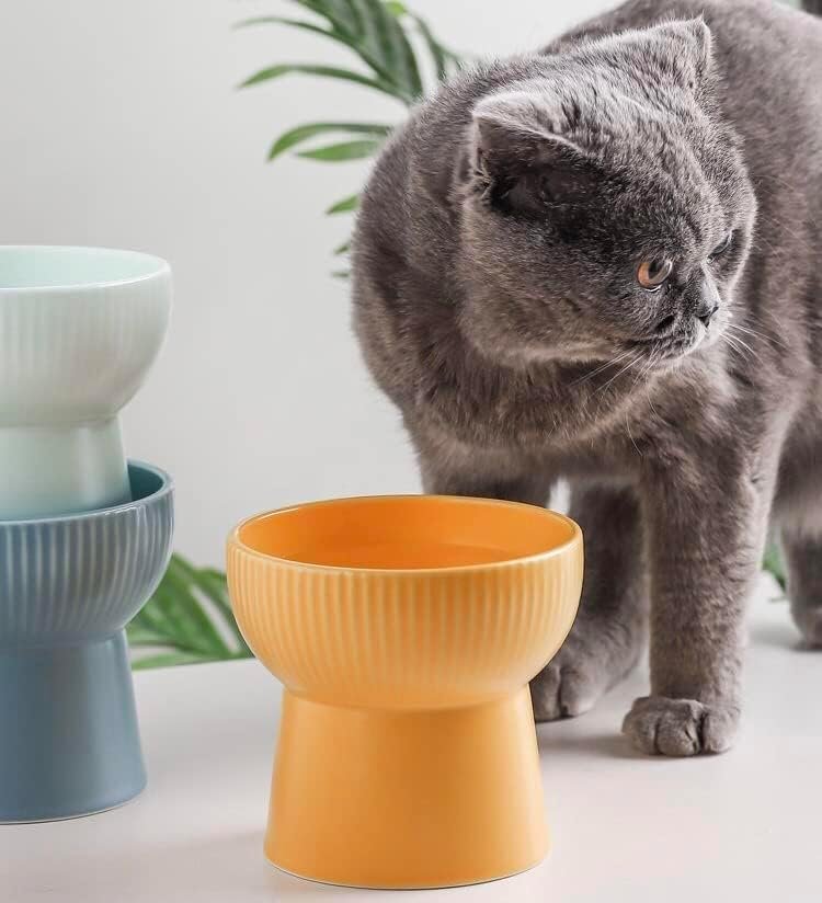 Ceramic Cat Food Or Water Bowl, Raised Cat Feeder Dishes with Stand | Stress Free Backflow Prevention, Anti Vomiting & Reduce Neck Burden (Multicolor) - Image 5