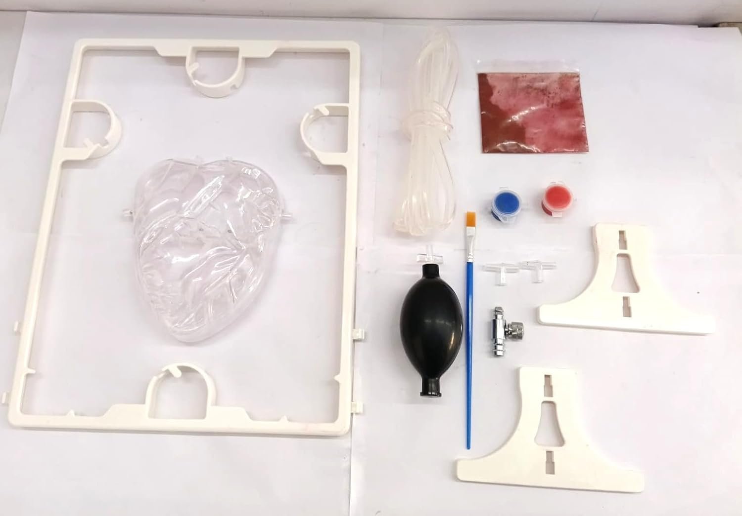 Pumping Human Heart Model with Artificial Blood - Image 4