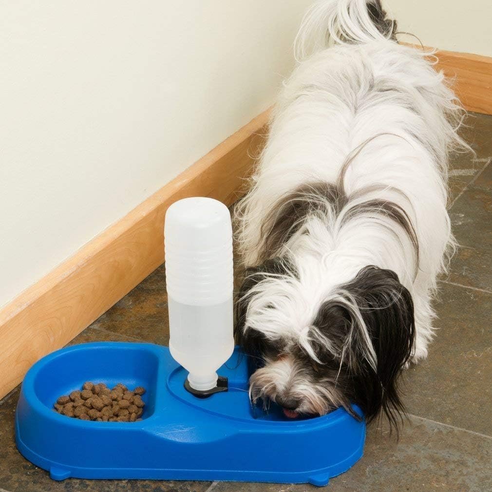 Dual Port Pet Dog Cat Bowl, Automatic Water Dispenser Plastic Feeder Utensils Bowl, Drinking Fountain Food Dish for Dog & Cat - Image 2
