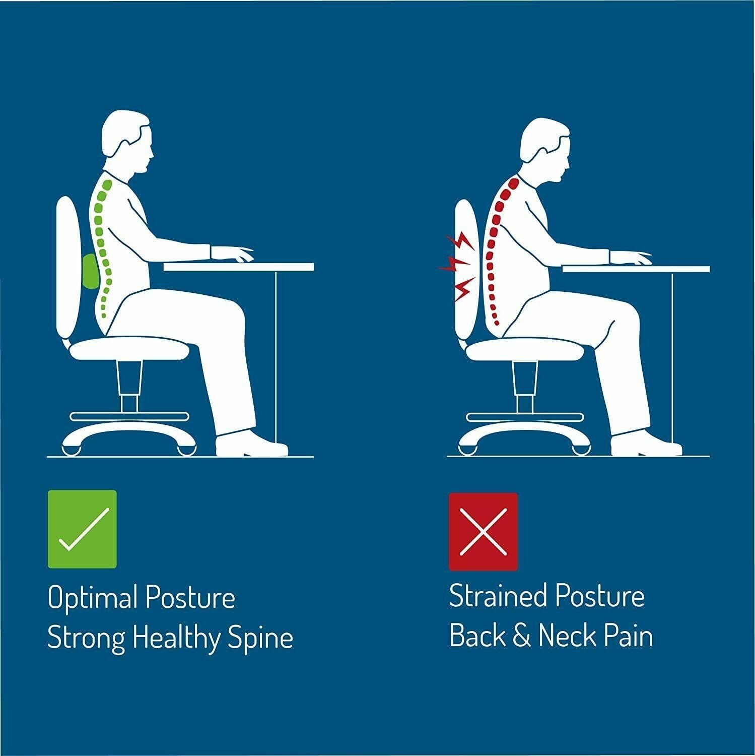 Back ROLL - Lumbar Support, Best for Office Chair and Car Seat Adjustable Straps - Image 6