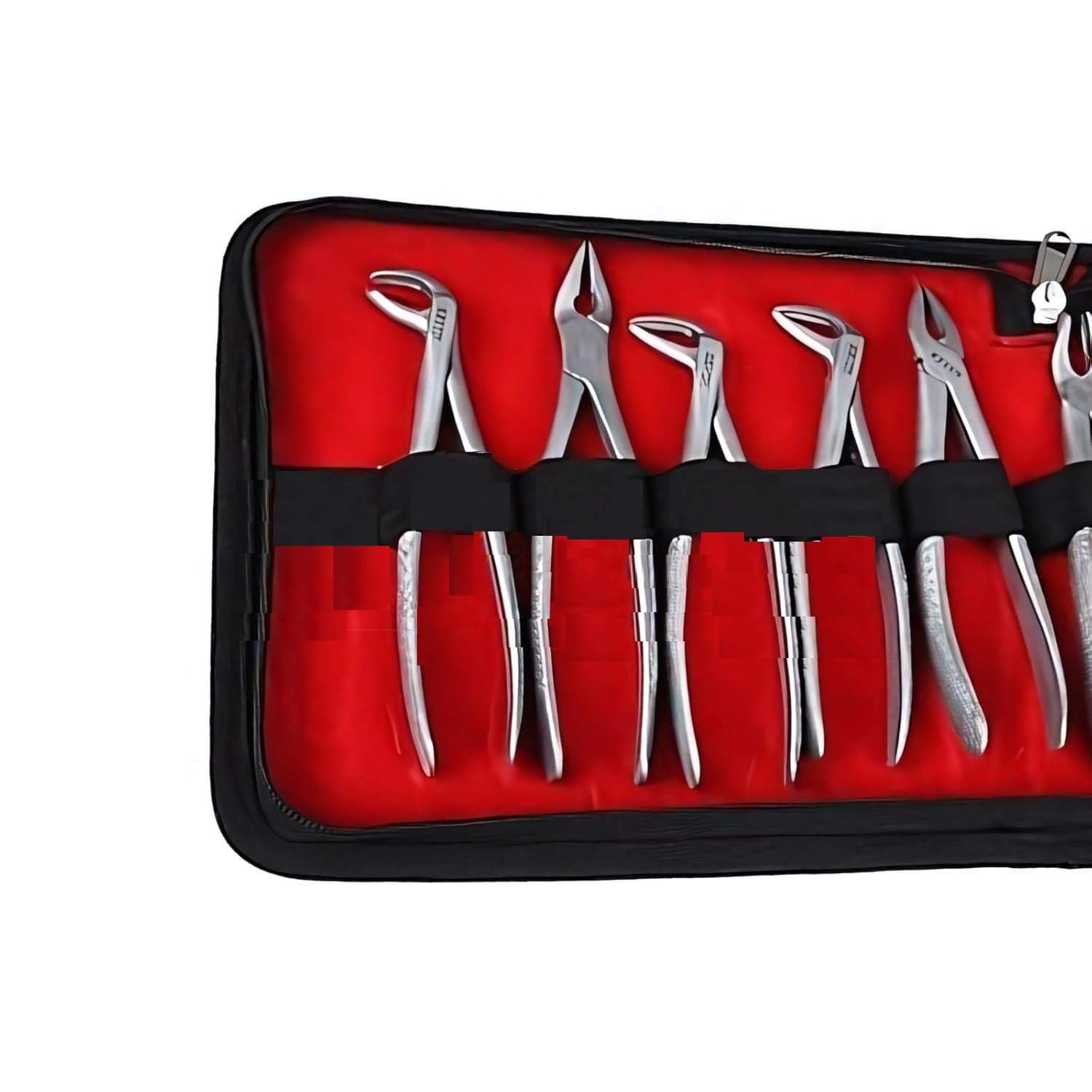Premium Dental Extraction Forcep/Tooth Set of 12 - Image 3