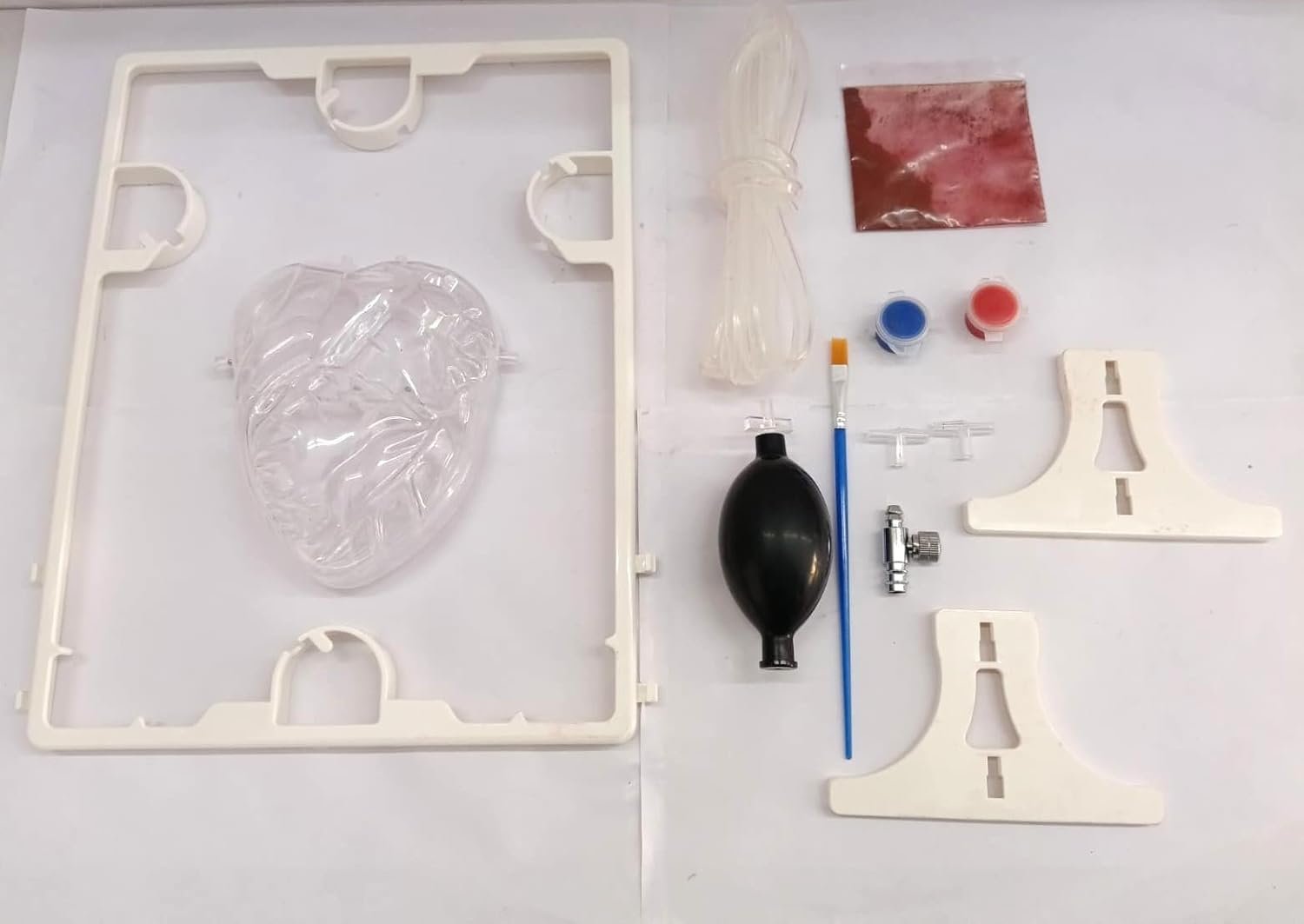Pumping Human Heart Model with Artificial Blood - Image 3