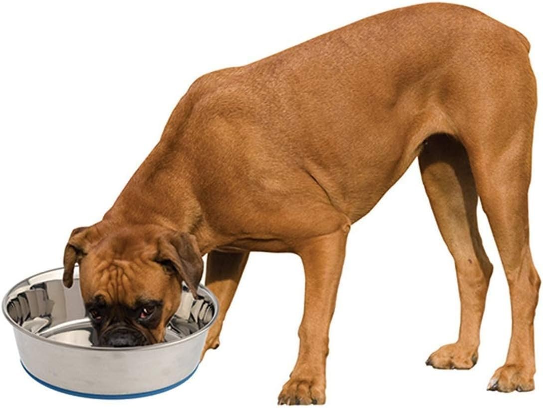 Dog Food Bowl |Feeder Bowls | Pet Bowl for Feeding Dogs Cats and Pets 1600 ml (Pack of 2) Pet Heavy Dog Bowl with 100% Silicon Bonded Rubber Base Stainless Steel - Image 2