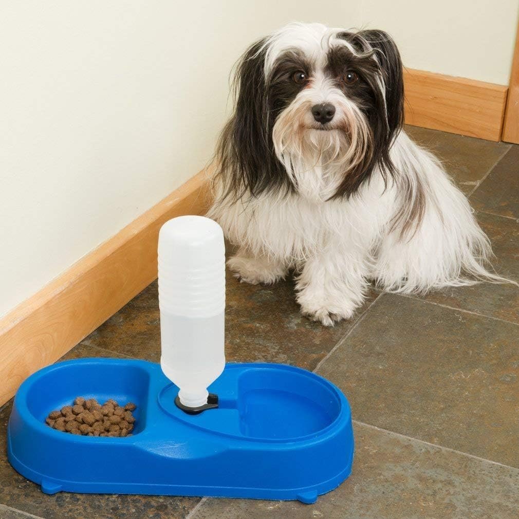 Dual Port Pet Dog Cat Bowl, Automatic Water Dispenser Plastic Feeder Utensils Bowl, Drinking Fountain Food Dish for Dog & Cat - Image 3