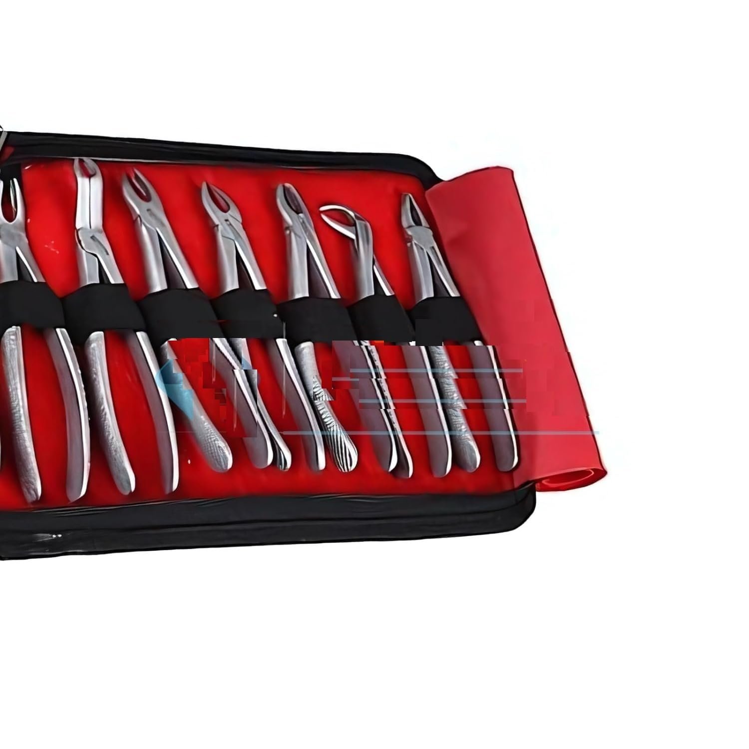 Premium Dental Extraction Forcep/Tooth Set of 12 - Image 2