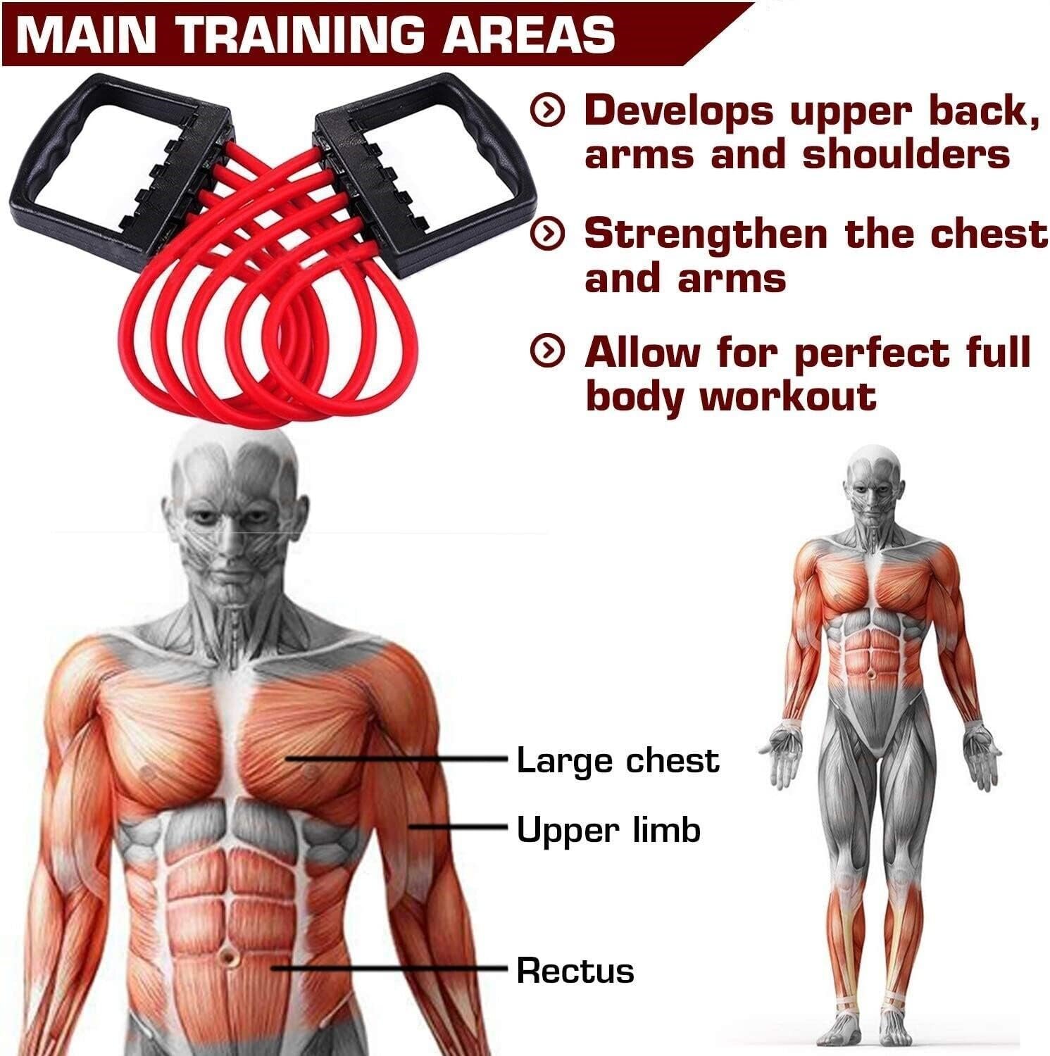 Rubber Chest Expander Exerciser & Chest Pull Expander - Image 4