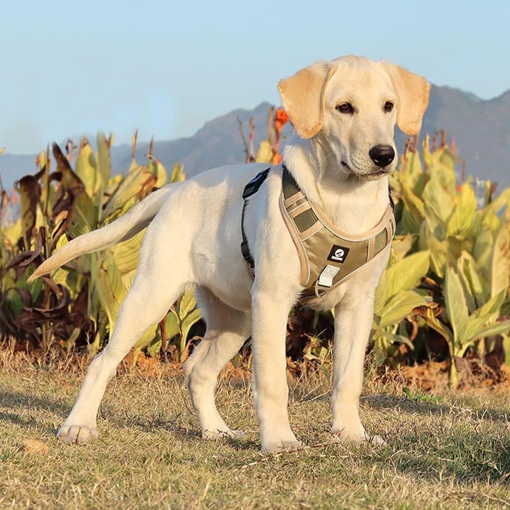 No Pull Dog Harness with Safety Reflective Strip Quick Release Buckle Adjustable Size Easy Control Handle -XL, Recommended Weight: 22.5kg-45kg - Image 5