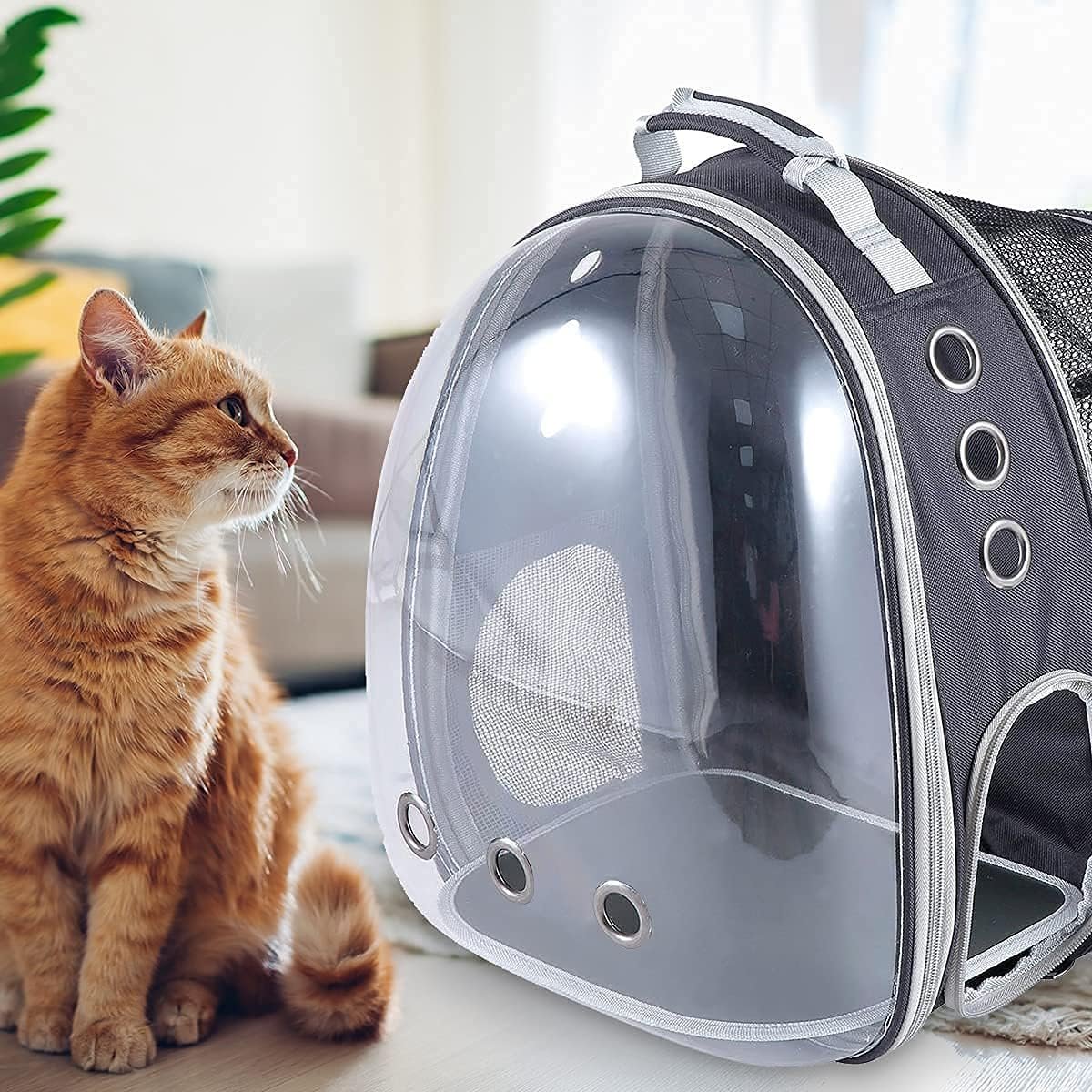 Side Door Design Cat Cage, Expandable Cat Backpack Carrier, Transparent Capsule Air Breathable Transparent Carrier Back Pack for Travelling, Ourdoor Use, for Small Pet - Image 2